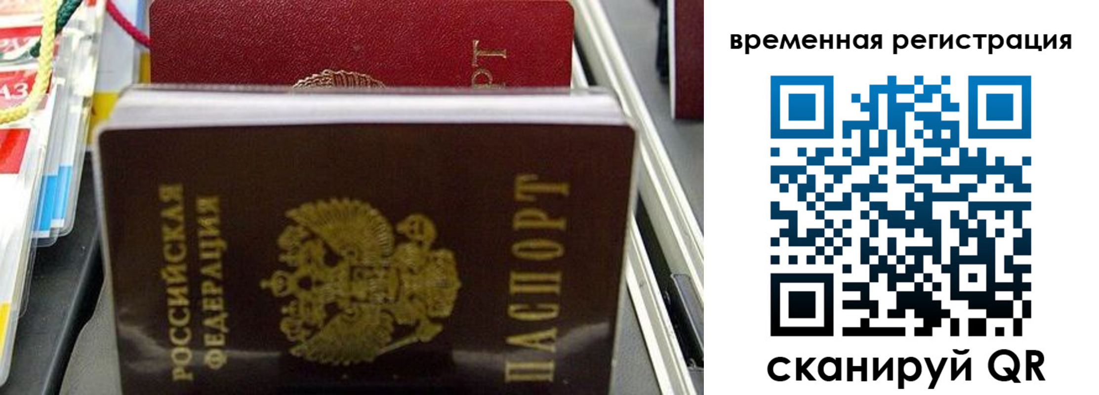 прописка законно в Мамадыше
